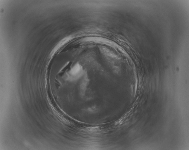 X0000081420054200702021637