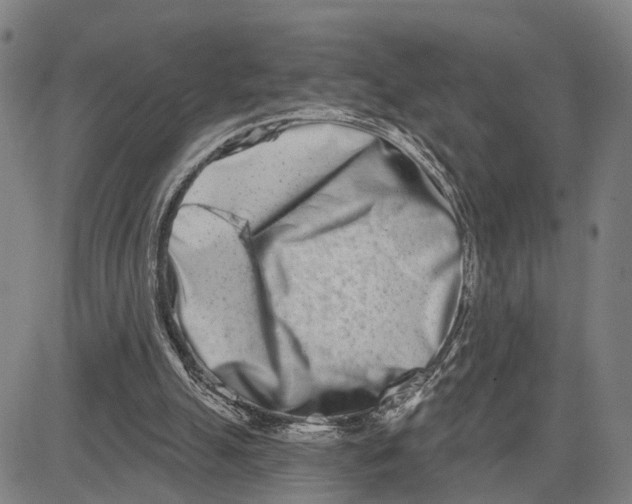 X0000081420055200702021637