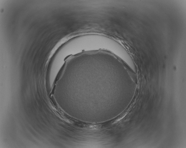 X0000081420056200702021637