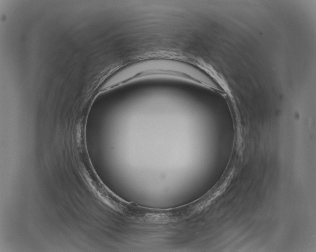 X0000081420057200702021638