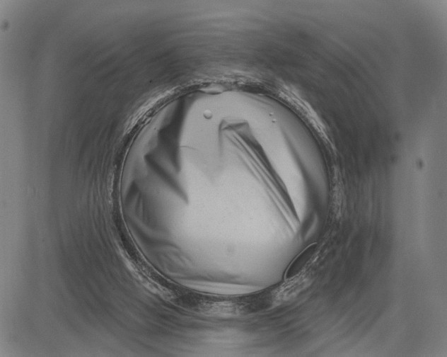 X0000081420058200702021638