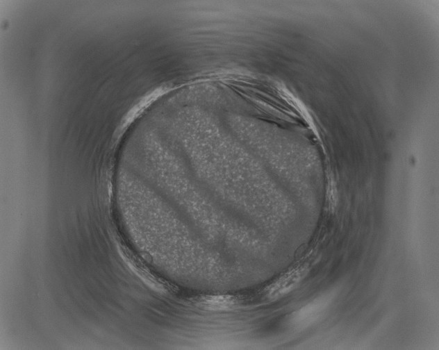 X0000081420059200702021638