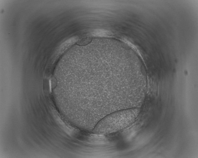 X0000081420061200702021638