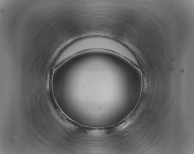 X0000081420064200702021638