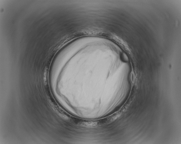 X0000081420065200702021638