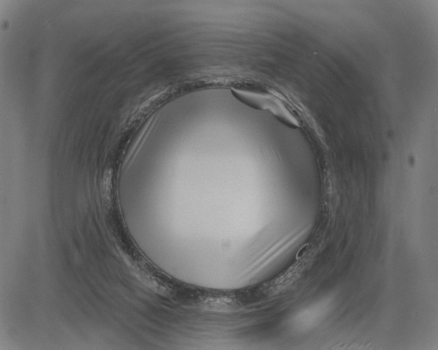 X0000081420066200702021638