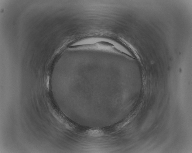 X0000081420067200702021638