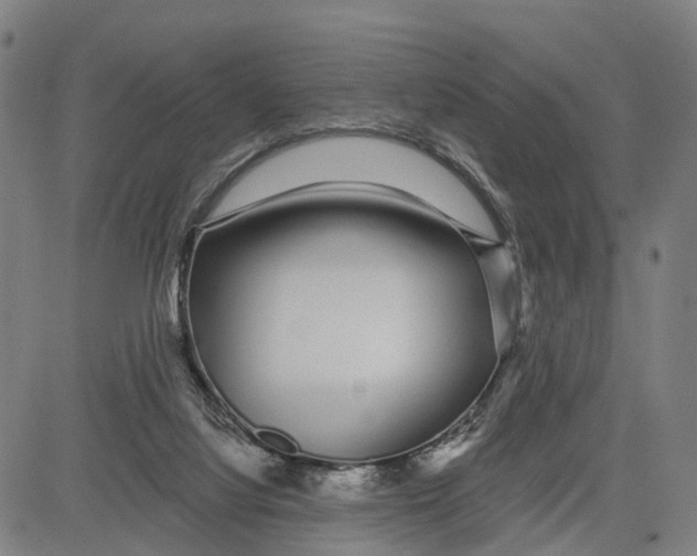 X0000081420068200702021638