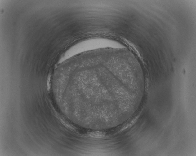 X0000081420069200702021638