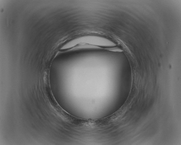 X0000081420071200702021638