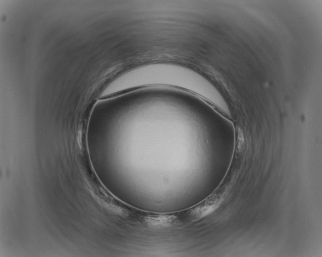 X0000081420072200702021638