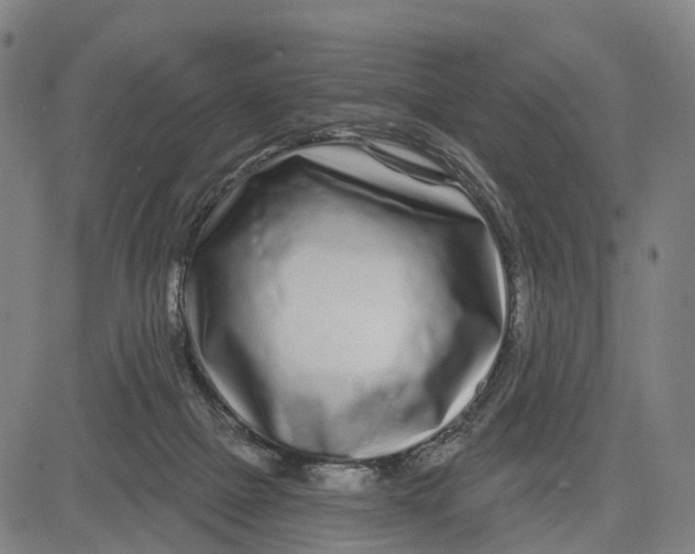 X0000081420073200702021638