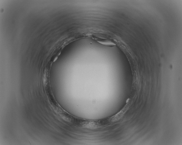 X0000081420074200702021638