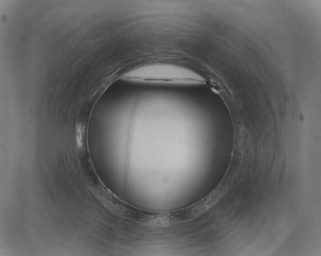 X0000081420075200702021638