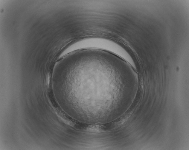 X0000081420076200702021638