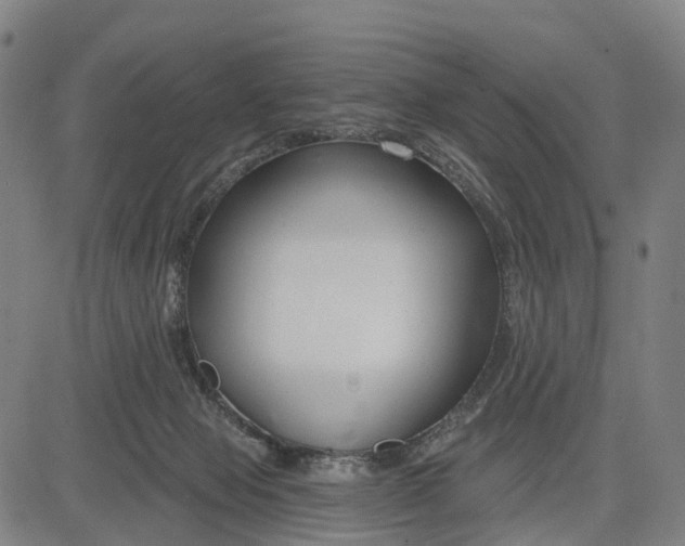 X0000081420077200702021638