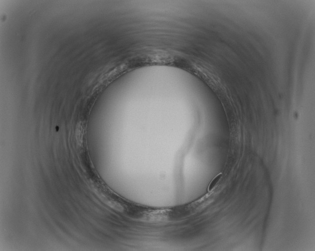 X0000081420078200702021638