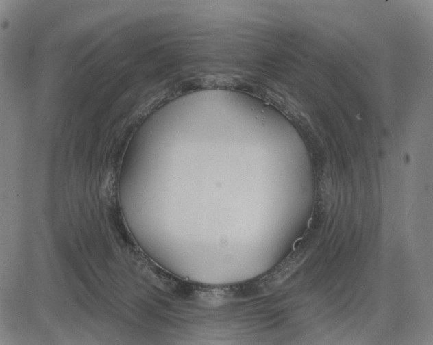 X0000081420079200702021638