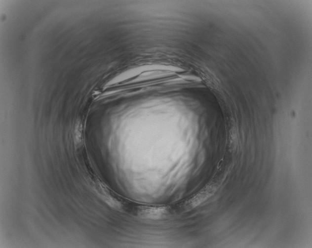 X0000081420081200702021638