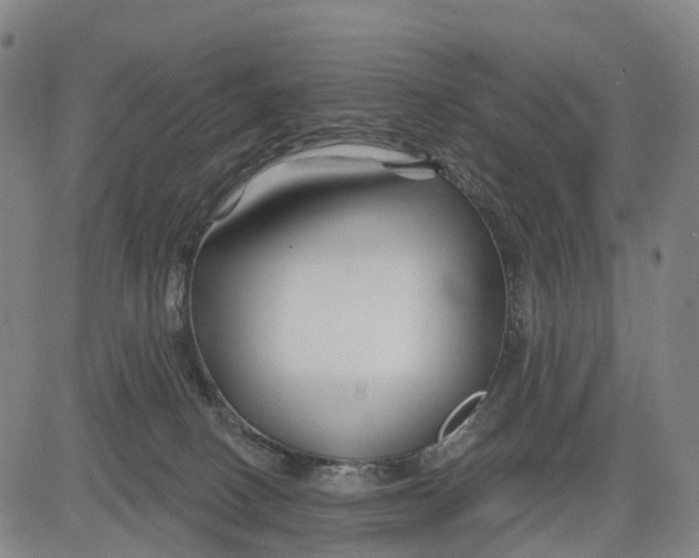 X0000081420082200702021638