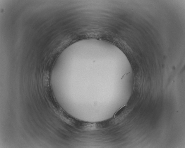 X0000081420083200702021638