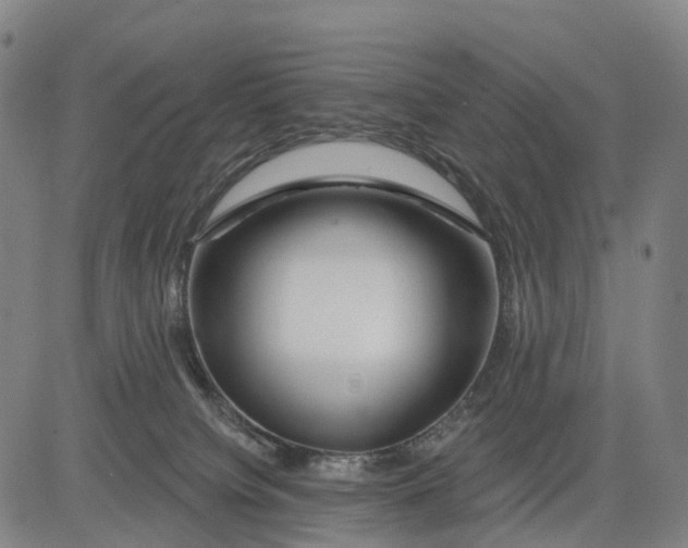 X0000081420084200702021638