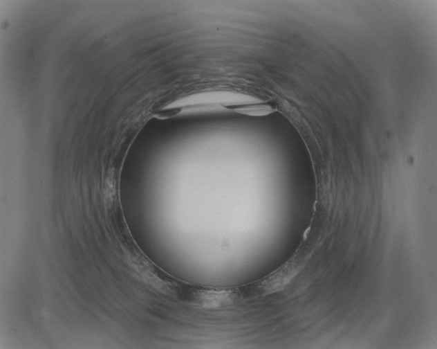 X0000081420085200702021638