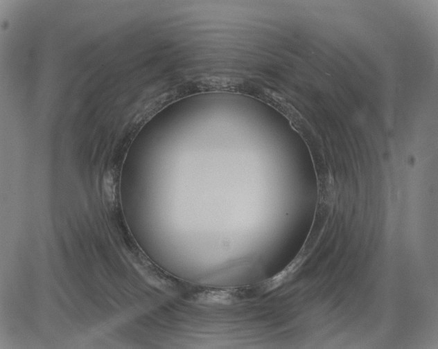 X0000081420086200702021638