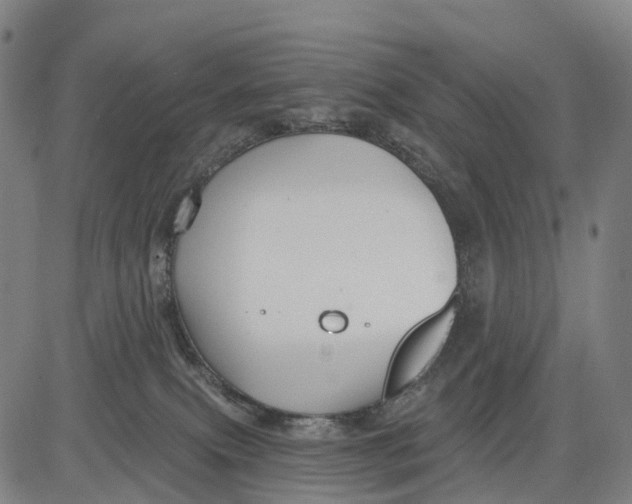 X0000081420087200702021638