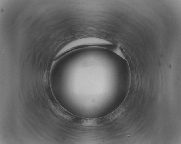 X0000081420088200702021638