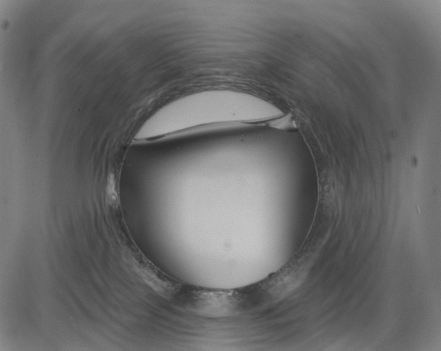 X0000081420089200702021638