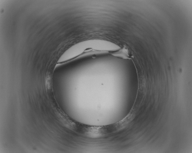 X0000081420090200702021638