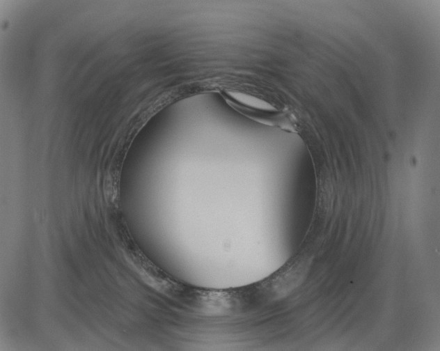 X0000081420091200702021638