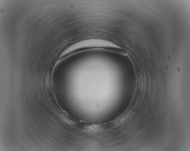 X0000081420092200702021638