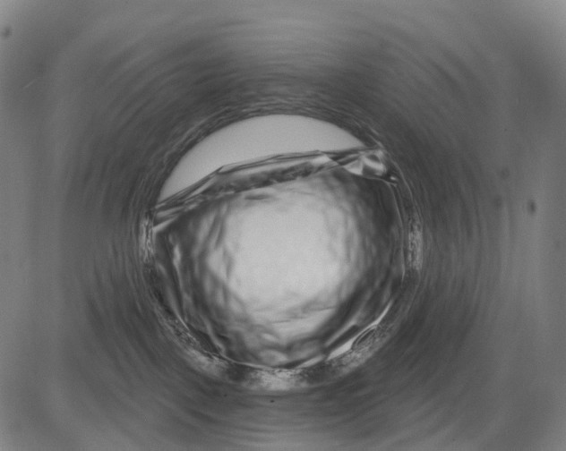 X0000081420093200702021638