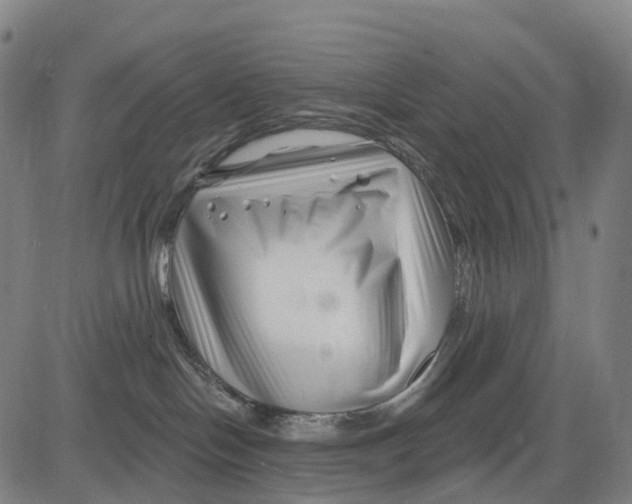 X0000081420094200702021638