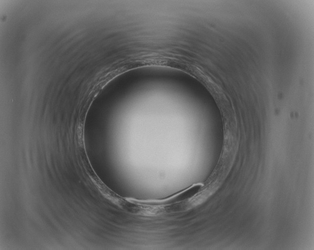 X0000081420096200702021638