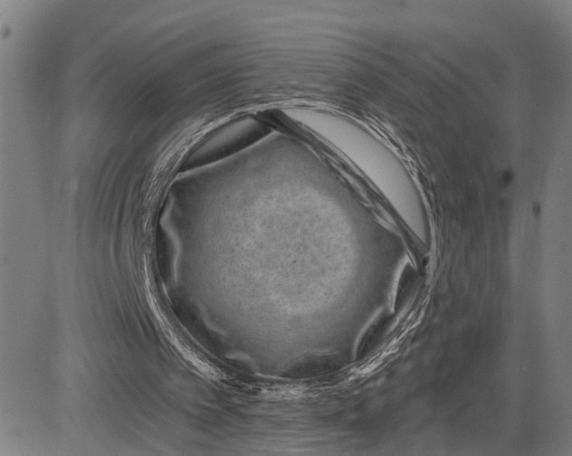 X0000081420097200702021637