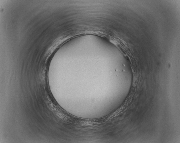 X0000081420098200702021637