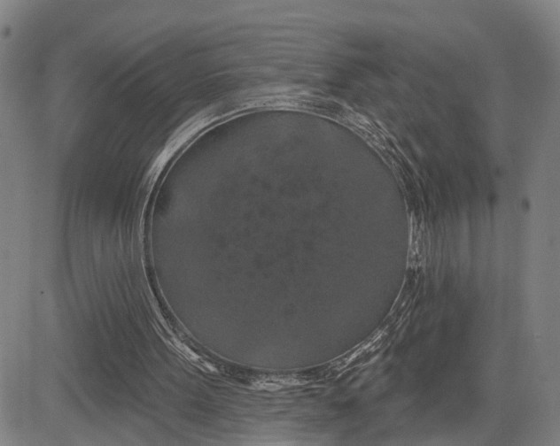 X0000081420099200702021637