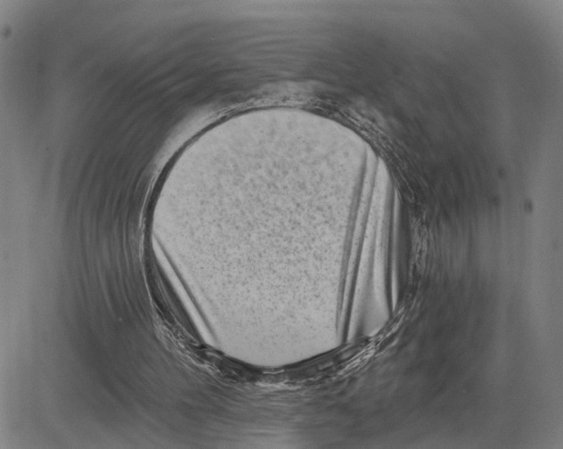 X0000081420100200702021637