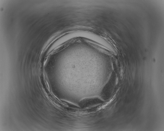 X0000081420101200702021637