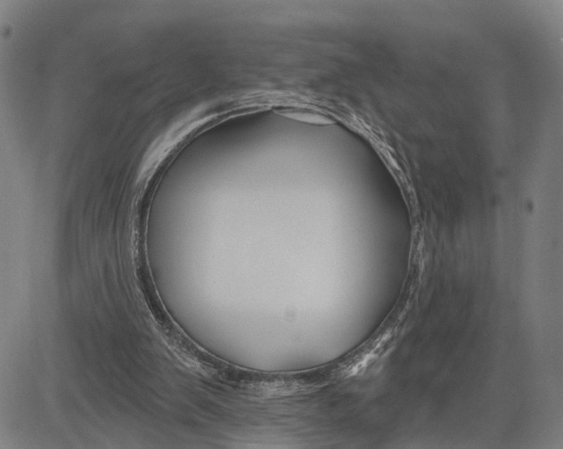 X0000081420103200702021637