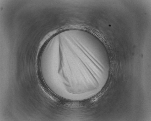 X0000081420104200702021637