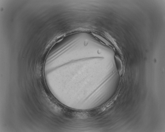 X0000081420106200702021637