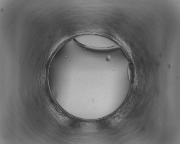 X0000081420107200702021637