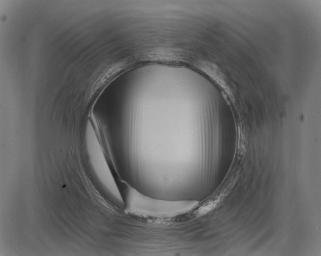 X0000081420109200702021637