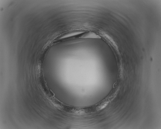 X0000081420113200702021637