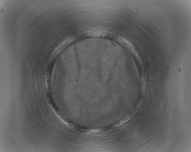 X0000081420114200702021637