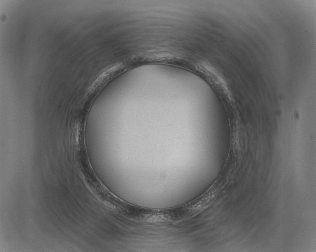 X0000081420115200702021637